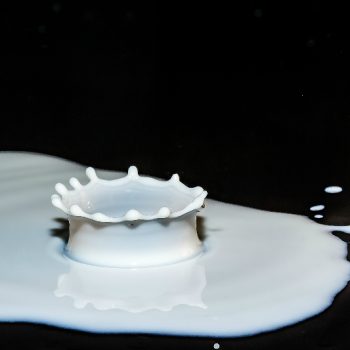 Ottimizzazione Produzione Latte