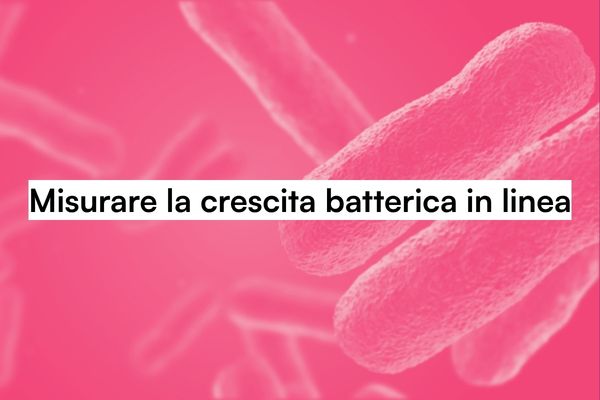 Illustrazione 3D di batteri a bastoncino rosa su sfondo scuro, simbolo della crescita batterica nella fermentazione