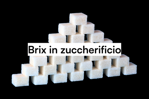 Misura del Brix in zuccherificio con Vaisala 1 Zollette di zucchero, prodotto finito della lavorazione controllata con misura del Brix in zuccherificio