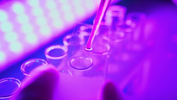 chemicals in neon purple light using advanced laboratory equipment SBI 351570723