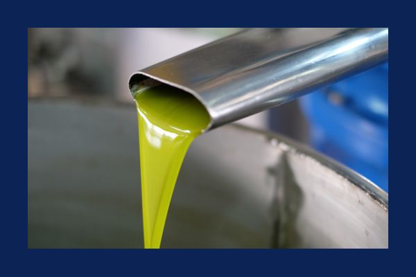Upcycling agroalimentare: il valore dei polifenoli negli scarti 2 1